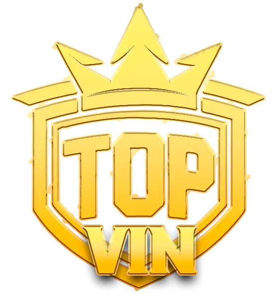 topvin.it.com